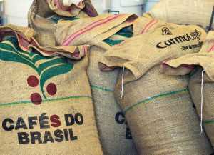 Gain Report Sees Brazil 2019/20 Coffee Crop At 59.3 Million Bags