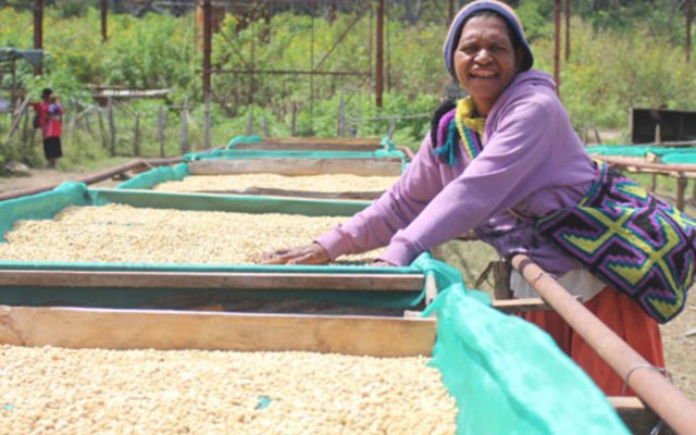 Papua New Guinea S Coffee Company Makes Big Stride To Raise Quality   Eight Col IMG 1182 640x400 