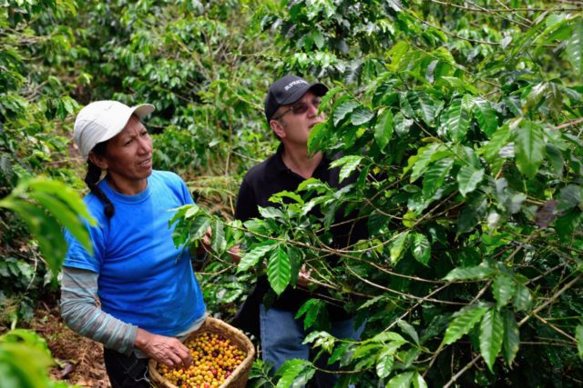 Empowering women coffee farmers in Colombia through inclusive business