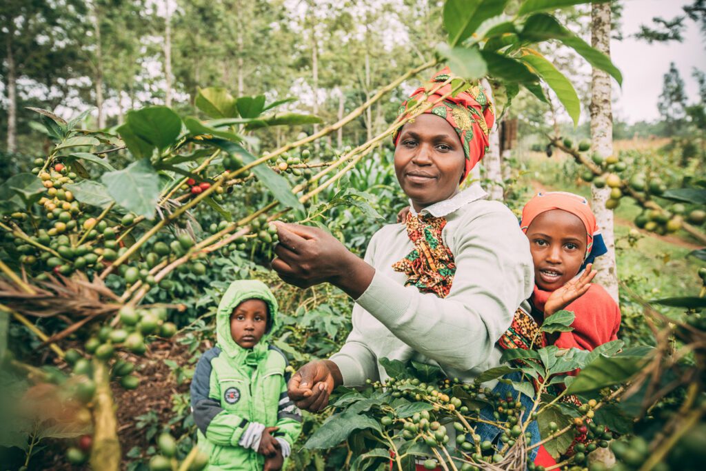 Putting a focus on gender inclusion and climate change in coffee