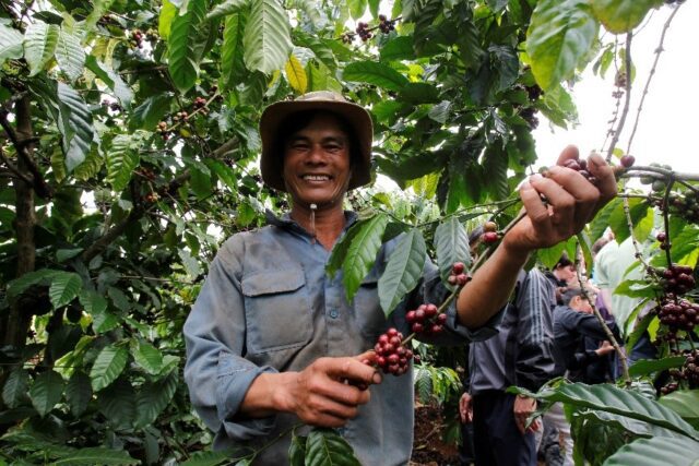 Vietnam: Diversified farming holds key to climate-smart coffee, research
