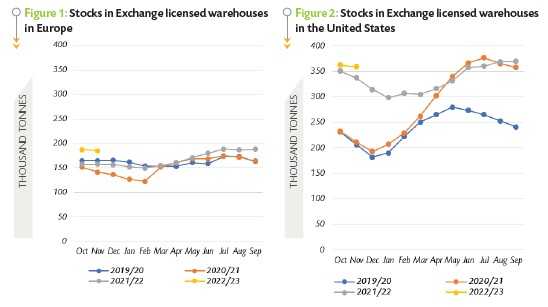 ICCO: Cocoa production for 2021/22 fell in Côte d’Ivoire and Ghana