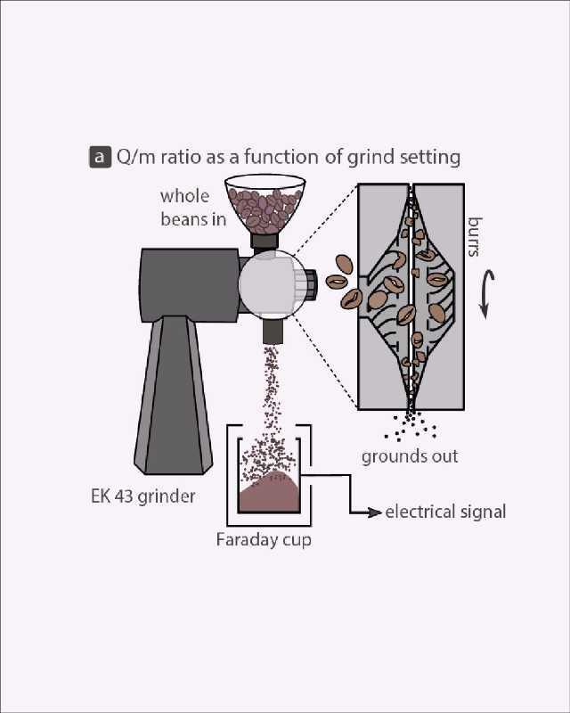 electric coffee grinding