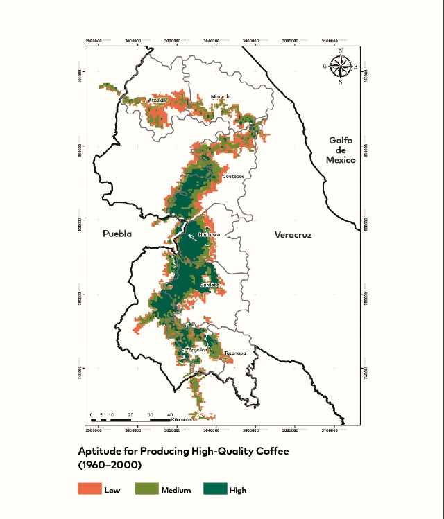 coffee climate